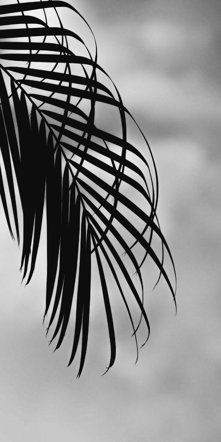 paddyfield - LIFE is an ART
