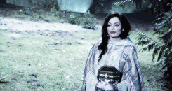 klnjones-blog:  Everyone thinks of [fairy tales] in terms of poisoned apples and glass coffins, and forgets that they represent girls who walked into dark forests and remade them into their own reflections. 