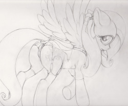 Aw Flutters&hellip; i see those wings pomfing up, you don&rsquo;t have to be shy :&gt; . A sketch i started on stream. Will work on more tonight!