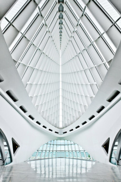 nnmprv:  Architecture 2 by Connie Zhou. You