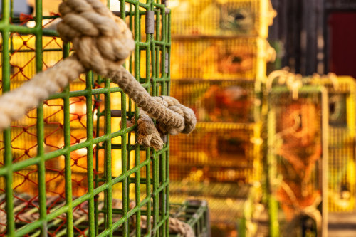 Lobster Traps MaineYashica Yashinon-DX 50mm f/1.7 lensSony A7