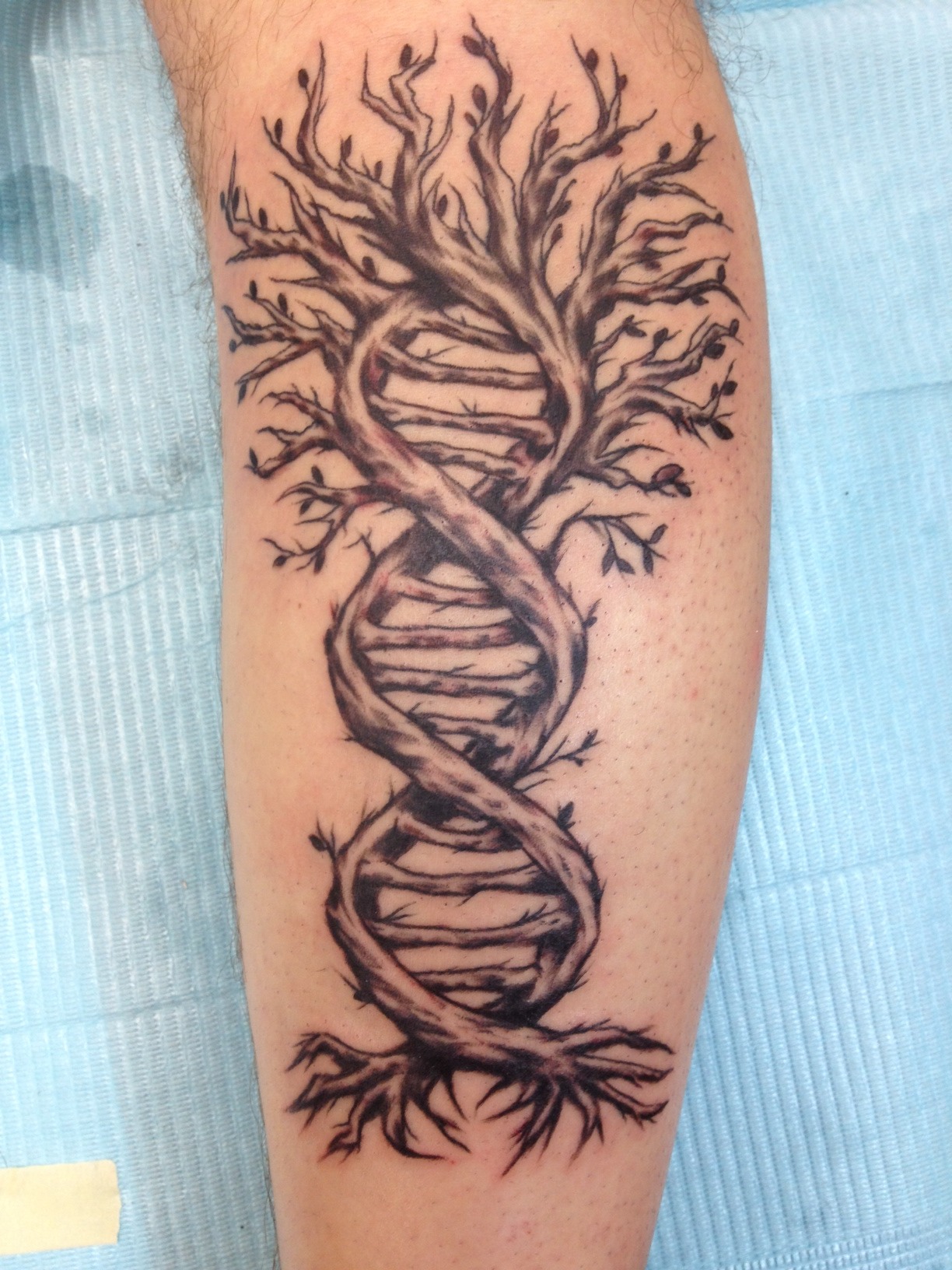 My DNAtreerrific tattoo design  Shadow Woods Productions LLC