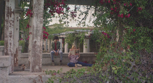 20th Century Women (2016)- Director: Mike Mills- Cinematographer: Sean Porter"Half the time I r