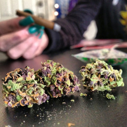 Rollsmokechill:  Rollsmokechill.tumblr.com