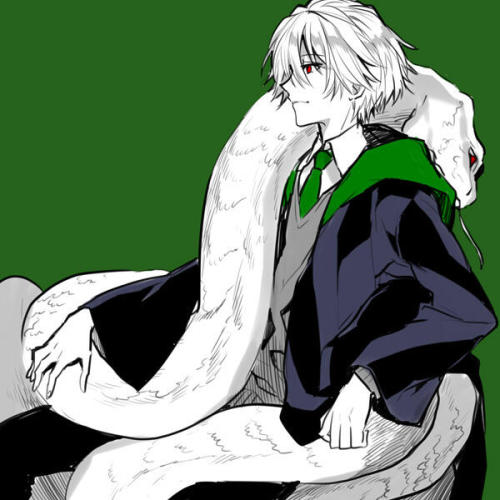 memoritite:  ハリポタなカヲシン (Harry Potter KawoShin) スリザリン カヲル君 (Slytherin Kaworu-kun) by ろあ(エヴァアカ) @ Twitter ** pixiv            