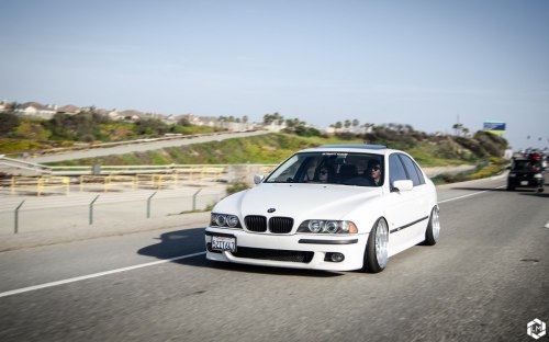 sickest-whips