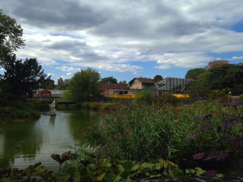 at Flora und Botanischer Garten Köln www.instagram.com/p/BnPGTGnFMWc/?utm_source=ig_tum