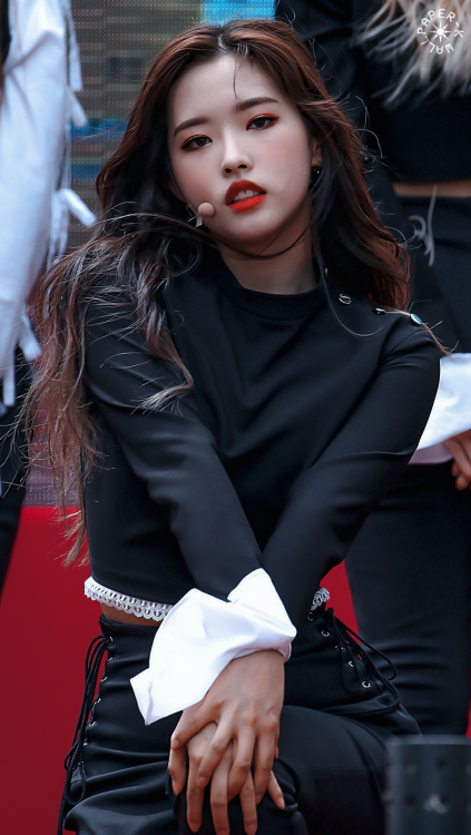 『OLIVIA HYE』saved? reblog or like©  LAMB