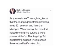 the-swift-tricker:  danceintheskies:  cyborgoctopus:   0operson:  [ tweet by Ruth H. Hopkins  As you celebrate thanksgiving, know that the Trump administration is taking away 321 acres of land from the Mashpee-Wampanoag, the tribe that helped the pilgrims