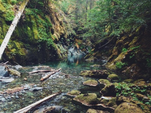 justapplyyourself:Opal Creek Wilderness. Detroit, Oregon.