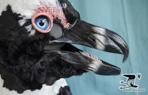 An african penguin mask - commissioned, not for sale. Features punched feathers on the eyebrows, and