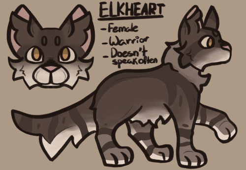Here's An Updated Ref For My Oldest Warriors OC And The One My User Is Named After :)