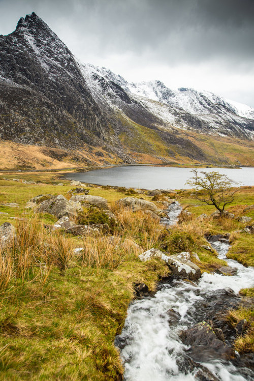 allthingseurope:Snowdonia, Wales (by Ola)The Ettenmoors