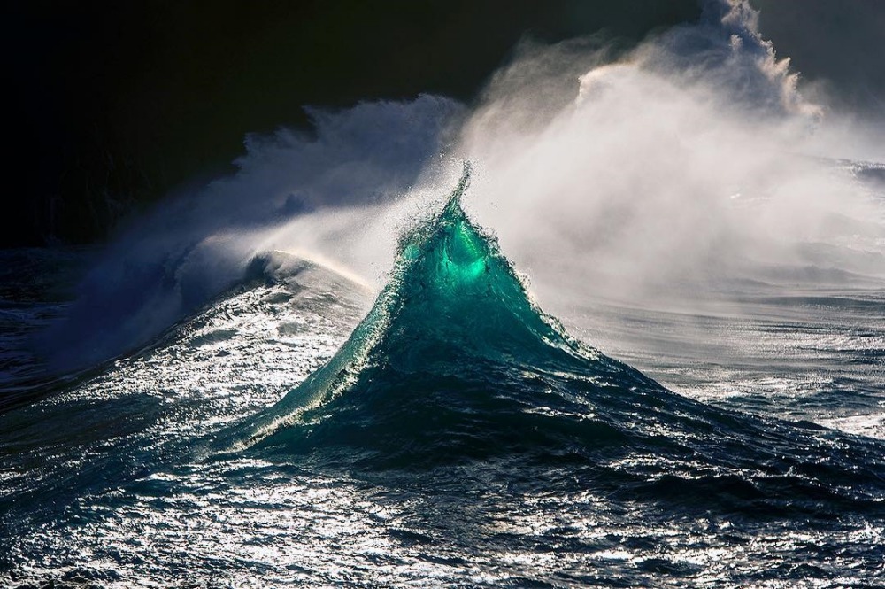 sosuperawesome:  Ray Collins on InstagramFollow So Super Awesome on Instagram 