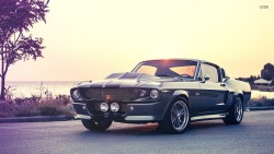 throttlestomper:  1967 Shelby Mustang GT500