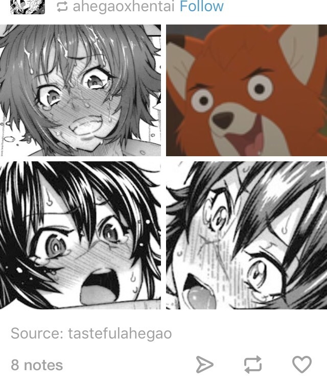 dan-mcneely:  i  H A T E  TUMBLR MOBILE 