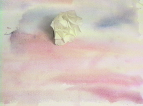 analogcinema: Erica Schreiner - VHS video still (2020)