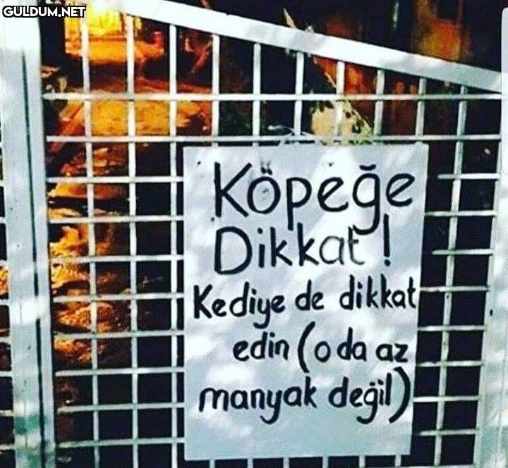 cezaevinden yeni çıktı 😽...