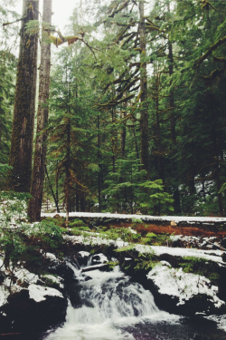 expressions-of-nature:  by Nicole Elise