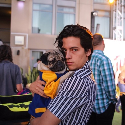 betty-and-jughead: Yes, they should certainly have Pugs on Riverdale. But Jughead already has Hotdog