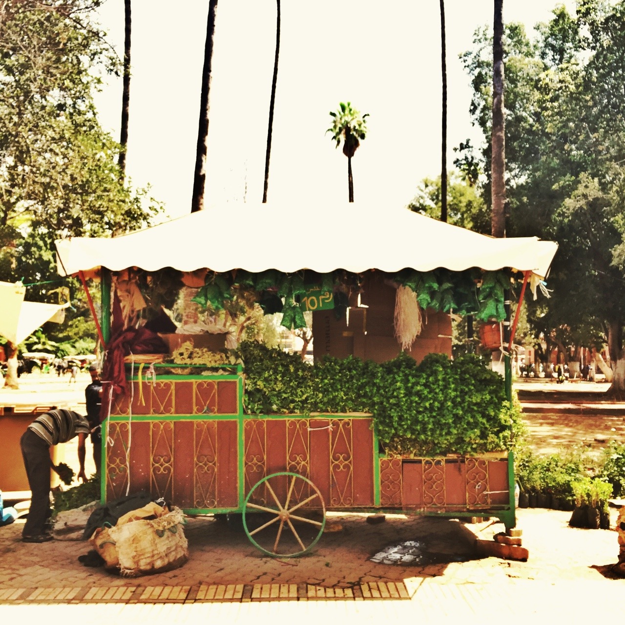 myfavoriteplayground:  Marrakech - May 2015