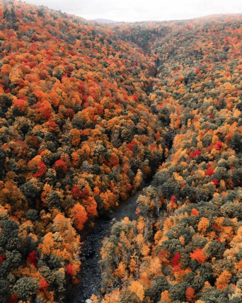 nubbsgalore:rivers and roads. rivers and roads. rivers till i reach you. (x, x, x, x, x, x, x, x, x, x)