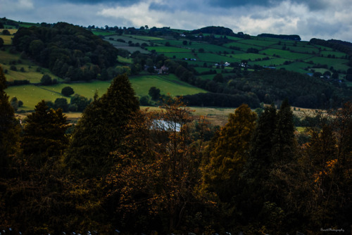 garettphotography:“Soon the leaves will all be turning,     From their many sha