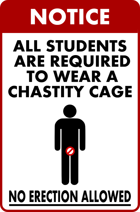 masterboibinder:The horny, sex-starved students are never informed as to which university professor is in possession of the key… all they know is that the key-holder randomly changes from month to month… this means that if a student wishes to earn