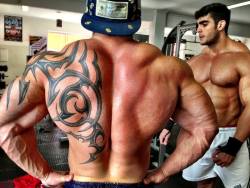 The Day AfterThe two roided bodybuilders