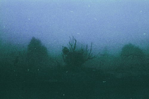 samanthamuljat:Blue Fog/Tristesse County.