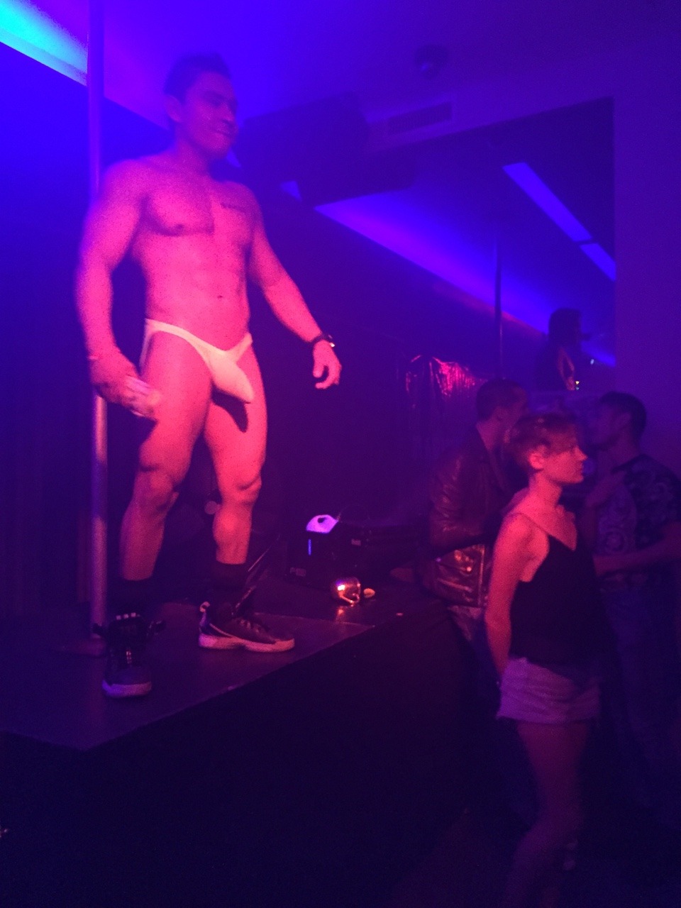 WEST HOLLYWOOD NIGHTS