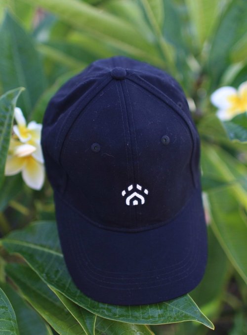 fifthtee: Our caps are here! Fifthtee donates a fifth of all its proceeds to help homeless animals, 