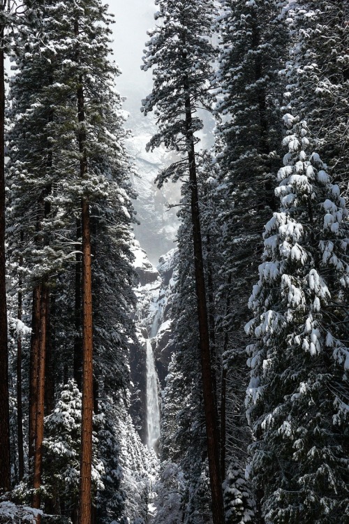 r2–d2:  Lower Yosemite Falls, Winter by (tanngrisnir3)