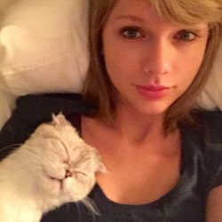 taylorswift:  I woke up like thissss (With a cat on me)