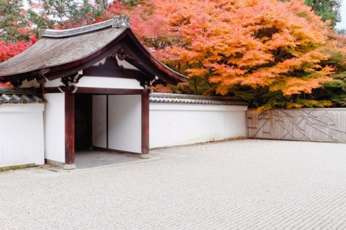 sazanami-ayame:  【京都紅葉旅行】 東福寺塔頭・龍吟庵。ここも愛すべき重森三玲ワールド。 2013.11.25