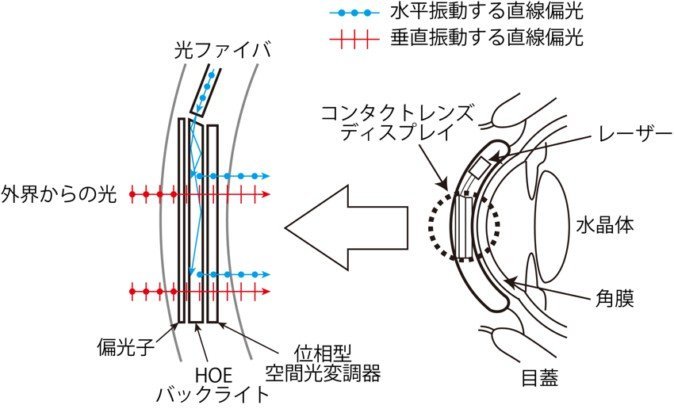 Iphone Life 著書 サルでもできる弁護士業 で知られ 全国的な宣伝で多数の債務整理を引き受けている法律事務所mira Iphone Life 著書 サルでもできる弁護士業 で知られ 全国的な宣伝で多数の債務整理を引き受けている法律事務所mira