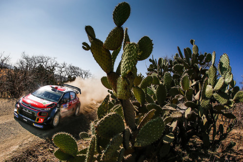 Sébastien Loeb / Daniel Elena Rally Guanajuato Corona Mexico 2018  © World