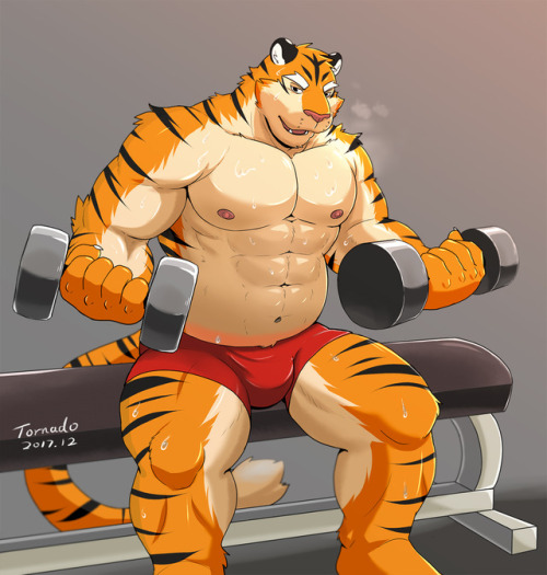 theotherwolfy: The Gym’s big Kitty. www.pixiv.net/member_illust.php?illust_id=66209948