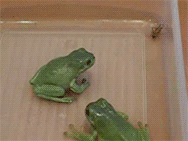 funny-gif-1:  Other Funny Gİfs http://funny-gif-1.tumblr.com/