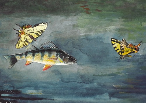 clawmarks: Fish and butterflies - Winslow Homer - c.1900 - via The Clark