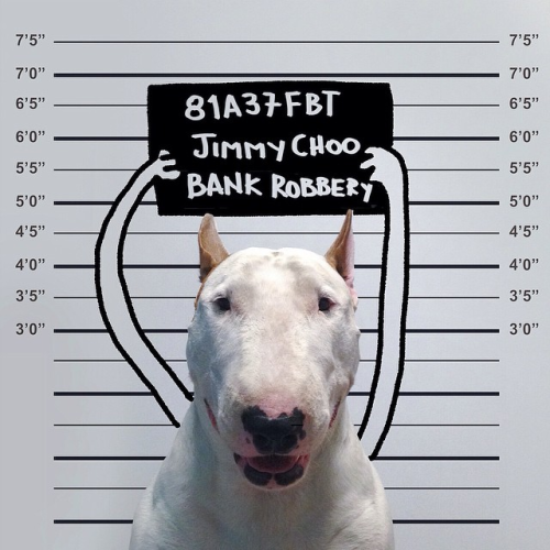 Dog owner creates fun and adorable illustrations with his Bull Terrier[via rafaelmantesso]