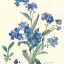 user253