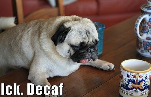 My sentiments exactly