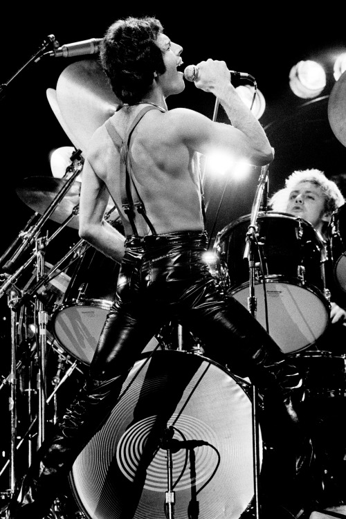 fuckyeahmercury:Queen live in London, UK – December 26, 1979Photos by Anton Corbijn