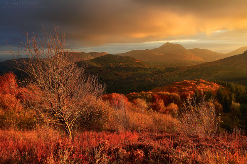 isawatree:  Autumnal Dreamland by *FlorentCourty 