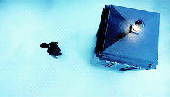 hirmione: “Let me tell you about scared. Your heart is beating so hard – I can