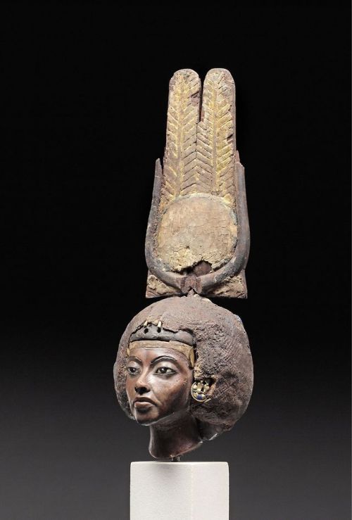 Fragmentary statue of Queen Tiye, 18th dynasty, c. 1355