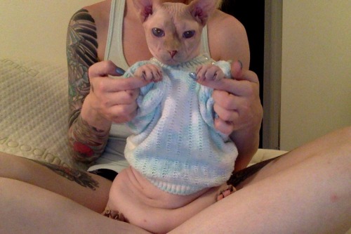 lnconvenientcrush:  wrinklepaws:  This is my own baby sweater and I do things like this in my free time because I have no life and also I am an immature child  how did you make that baby 