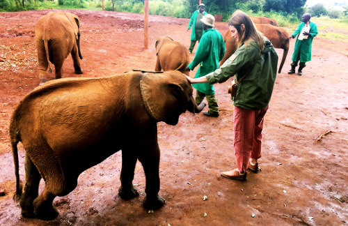 katebeckett:drstanakatic: Luggard surprised me by saying hello as I was trying to take a photo of on
