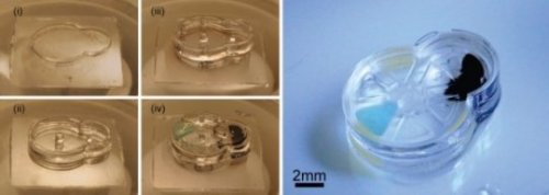 Implantable microrobots: Innovative manufacturing platform makes intricate biocompatible micromachin
